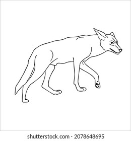 this is a cute and beautiful Coyote images line art ,outline drawing,vector art and illustrations art