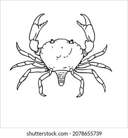 this is a cute and beautiful crab images line art ,outline drawing,vector art and illustrations art