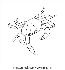 this is a cute and beautiful crab images line art ,outline drawing,vector art and illustrations art