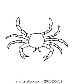 this is a cute and beautiful crab images line art ,outline drawing,vector art and illustrations art
