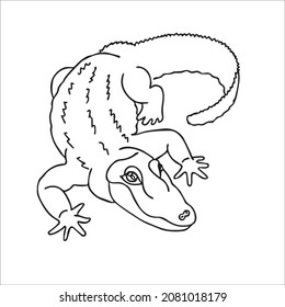 this is a cute and beautiful crocodile images line art ,outline drawing,vector art and illustrations art