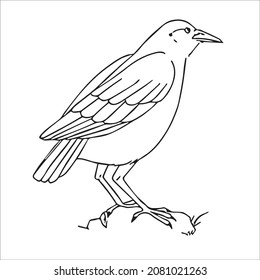este es un lindo y bello arte de línea de imágenes de cuerdas, dibujo de contorno, arte vectorial e ilustraciones