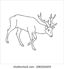 this is a cute and beautiful deer images line art ,outline drawing,vector art and illustrations art