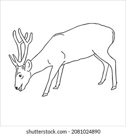 this is a cute and beautiful deer images line art ,outline drawing,vector art and illustrations art