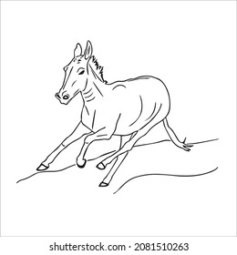 este es un lindo y hermoso arte de la línea de imágenes de Donkey, dibujo de contorno, arte vectorial e ilustraciones