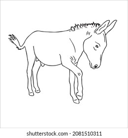 this is a cute and beautiful Donkey images line art ,outline drawing,vector art and illustrations art