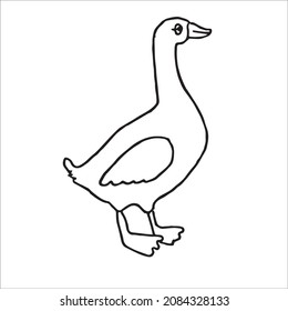 this is a cute and beautiful duck images line art ,duck outline drawing, duck vector art and illustrations art