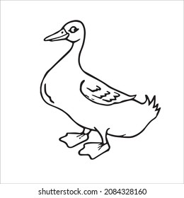 this is a cute and beautiful duck images line art ,duck outline drawing, duck vector art and illustrations art