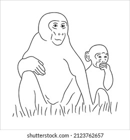 this is a cute and beautiful monkey images line art ,outline drawing,vector art and illustrations art
