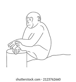 this is a cute and beautiful monkey images line art ,outline drawing,vector art and illustrations art