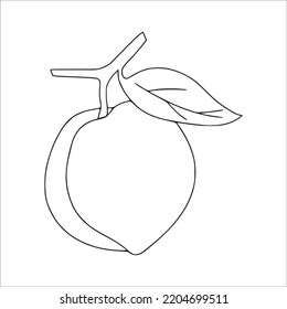 this is a cute and beautiful Peache line art images, Peache outline drawing, Peache vector art and illustrations art and Peache coloring book pages