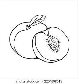 this is a cute and beautiful Peache line art images, Peache outline drawing, Peache vector art and illustrations art and Peache coloring book pages