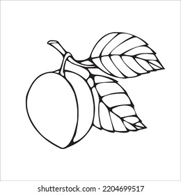 this is a cute and beautiful Peache line art images, Peache outline drawing, Peache vector art and illustrations art and Peache coloring book pages