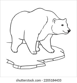 this is a cute and beautiful Polar Bear line art images, Polar Bear outline drawing, Polar Bear vector art and illustrations art and Polar Bear coloring book pages