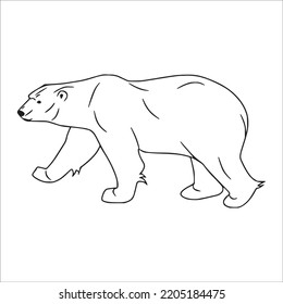 this is a cute and beautiful Polar Bear line art images, Polar Bear outline drawing, Polar Bear vector art and illustrations art and Polar Bear coloring book pages