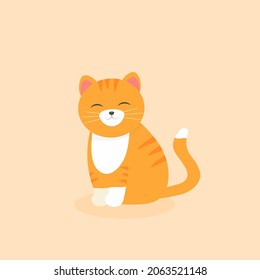 This is a cute cat isolated on a light background.
