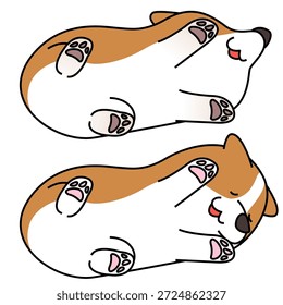 Esta es una linda ilustración de un Corgi acostado en su espalda (vientre hacia arriba).