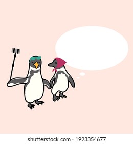 This is a cute penguins couple taking a selfie.