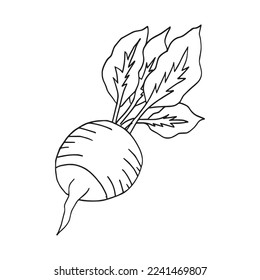 this is a Cute Radish With coloring book pages picture,Radish line art,Radish outline drawing vector illustration,Radish vector line art,Radish line drawing
