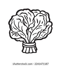 this is a Cute Spinach With coloring book pages picture,Spinach line art,Spinach outline drawing vector illustration,Spinach vector line art,Spinach line drawing
