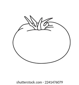 this is a Cute Tomato With coloring book pages picture,Tomato line art,Tomato outline drawing vector illustration, Tomato vector line art, line drawing