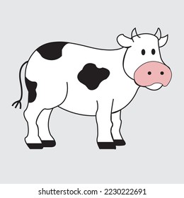 this is a dairy cow