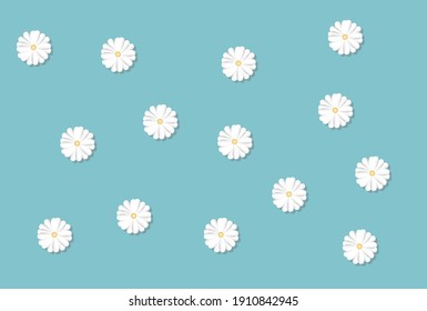 this is daisy flower  blue
 background  and wallpaper flower