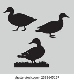 This delightful duck silhouette set features three elegantly designed ducks in standing positions. Perfect for adding a touch of nature to your creative projects.