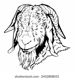 this is design illustrator vector good for Eid al-Adha and to sell goats and milk