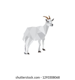 This is the design of low poly animals that I have made, hope you are satisfied to buy
