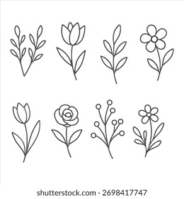 This design showcases a beautiful and diverse collection of floral elements, perfect for creating invitations, greeting cards, or decorative graphics. The composition includes a range