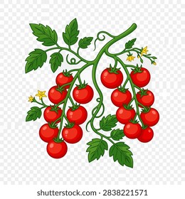 This detailed digital illustration features a cluster of ripe, round red tomatoes hanging from a lush green vine. The composition includes several small yellow blossoms and serrated leaves, creating a natural and organic appearance. The bright colors and clean lines provide a cheerful, healthy aesthetic suitable for culinary or agricultural themes