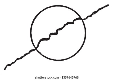 In this Diagram there are Show you Cut part of Leaf, vintage line drawing or engraving illustration.