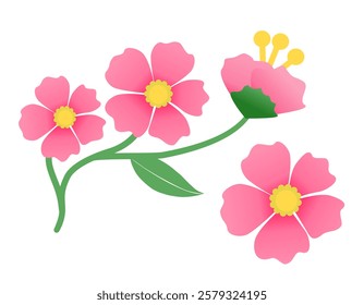 This is a digital illustration of a branch with pink flowers and green leaves.The flowers have five petals each,with a bright yellow center.One of the flowers is partially open,showing yellow stamens.