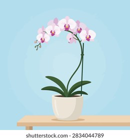 This digital illustration features a delicate orchid plant with soft pink and white petals arranged in a graceful arch. The plant is housed in a simple, minimalist ceramic pot resting on a flat wooden surface against a solid light blue background. The clean lines and flat color palette create a serene, modern aesthetic suitable for interior design concepts