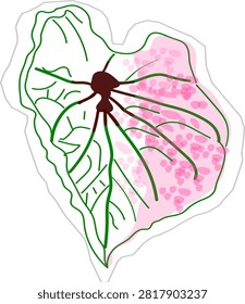 This is a digital illustration or sticker design of a stylized Caladium leaf (commonly known as elephant ear or Keladi Hias). The artwork features a clean, outline-based art style with a modern, minimalist watercolor or marker-bleed coloring effect.