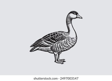 This digital product features a vector artwork of a solitary Asian goose. The design highlights the graceful posture and elegant plumage of the bird.