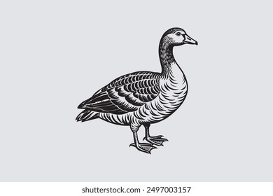 This digital product features a vector artwork of a solitary Asian goose. The design highlights the graceful posture and elegant plumage of the bird.