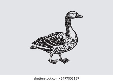 This digital product features a vector artwork of a solitary Asian goose. The design highlights the graceful posture and elegant plumage of the bird.