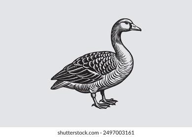 This digital product features a vector artwork of a solitary Asian goose. The design highlights the graceful posture and elegant plumage of the bird.