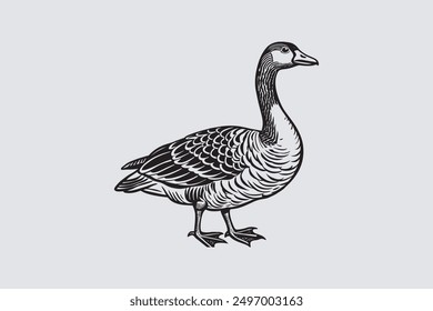 This digital product features a vector artwork of a solitary Asian goose. The design highlights the graceful posture and elegant plumage of the bird.