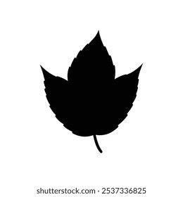 This digital product is an icon of a black ash tree leaf, depicted in a simple and elegant style. Ideal for nature-related designs, eco-friendly branding, and botanical projects, it symbolizes growth,