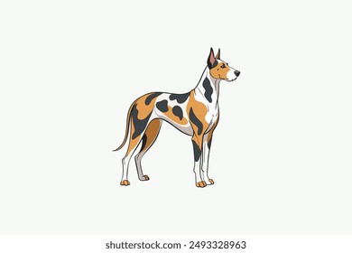 This digital product is a vector artwork featuring a Great Dane Harlequin dog. Ideal for graphic design projects, this file offers high-quality, scalable images that can be used in various application