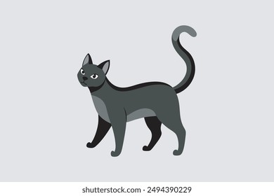 Este producto digital es una obra de arte de Vector con un gato American Shorthair bellamente ilustrado. Perfecto para proyectos de Diseño gráfico.