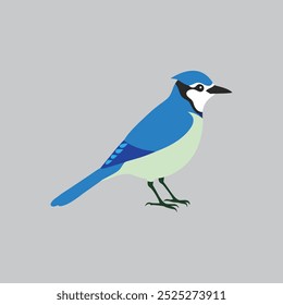 This digital product is a vector artwork of a Blue Jay bird, perfect for graphic design projects, illustrations, and print. It is scalable and editable without loss of quality.