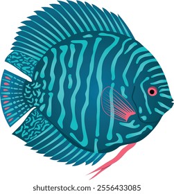 This is a discus fish. This type of fish are popular aquarium fish. This is totally a vector illustration.