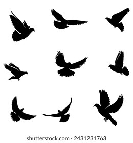 This is a dove shillouet bundle suitable for dove icons, logos, content, png images and others