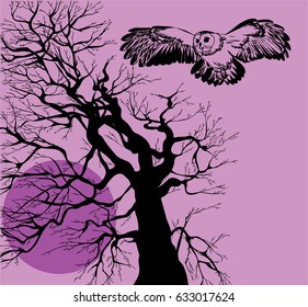 This is a drawing of a night owl flight