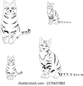 this is a drawn vector  cat  art.