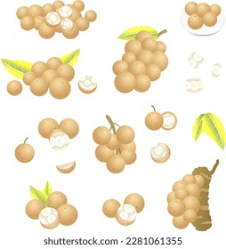 This duku fruit vector art is a feast for the eyes. Share if you're loving this sweet design as much as we are!